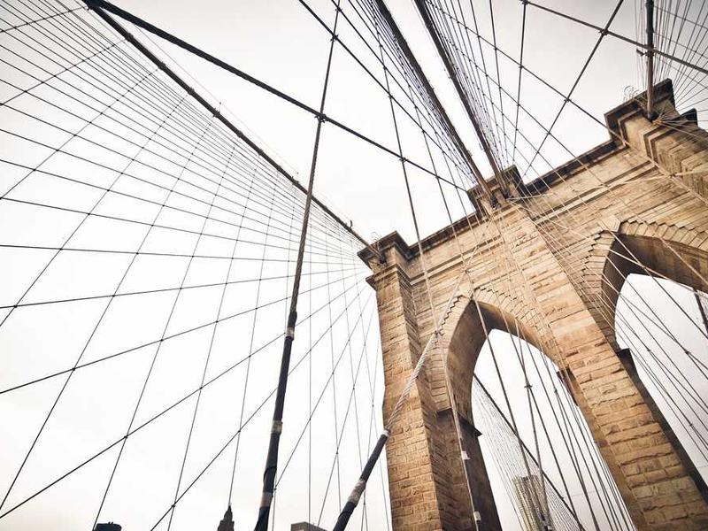 Fully booked calendar showing successful appointment schedule