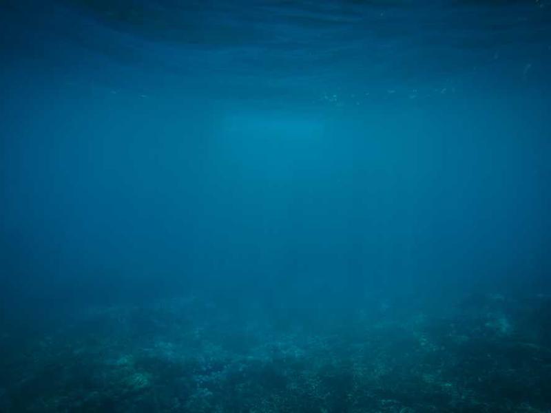 Customizable Intelligence